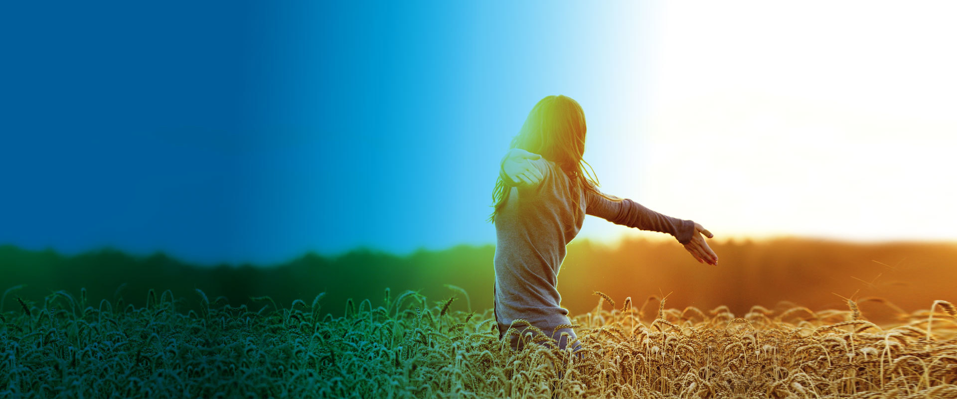 专业高性能塑料供应商